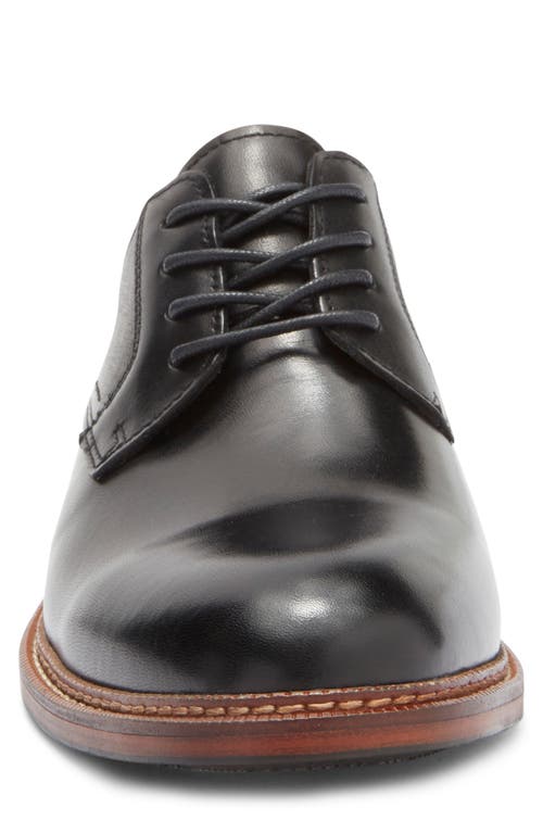 Steve Madden Espen Plain Toe Derby In Black