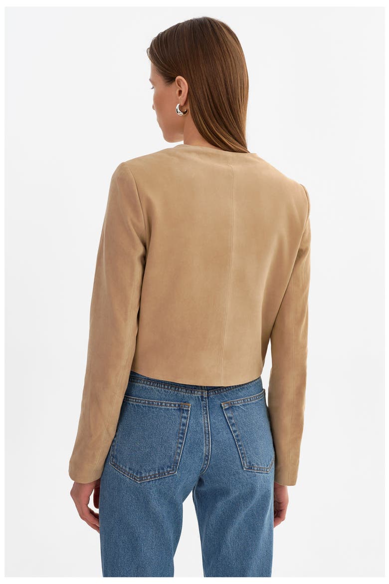 Linette S | Suede Jacket, Alternate, color, Beige