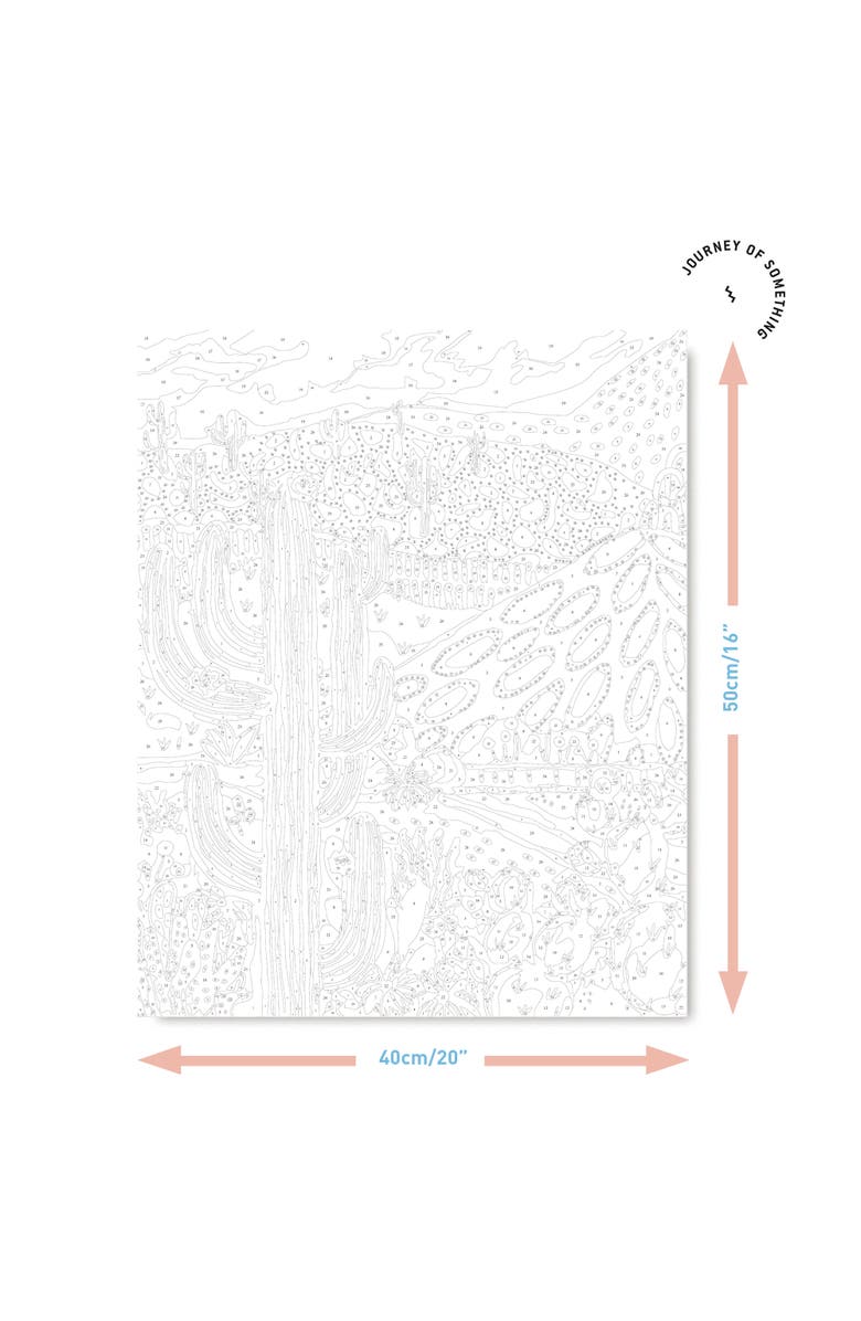 Journey of Something Paint By Numbers, Cactus Valley, DIY Painting Kit, Alternate, color, Multicolored