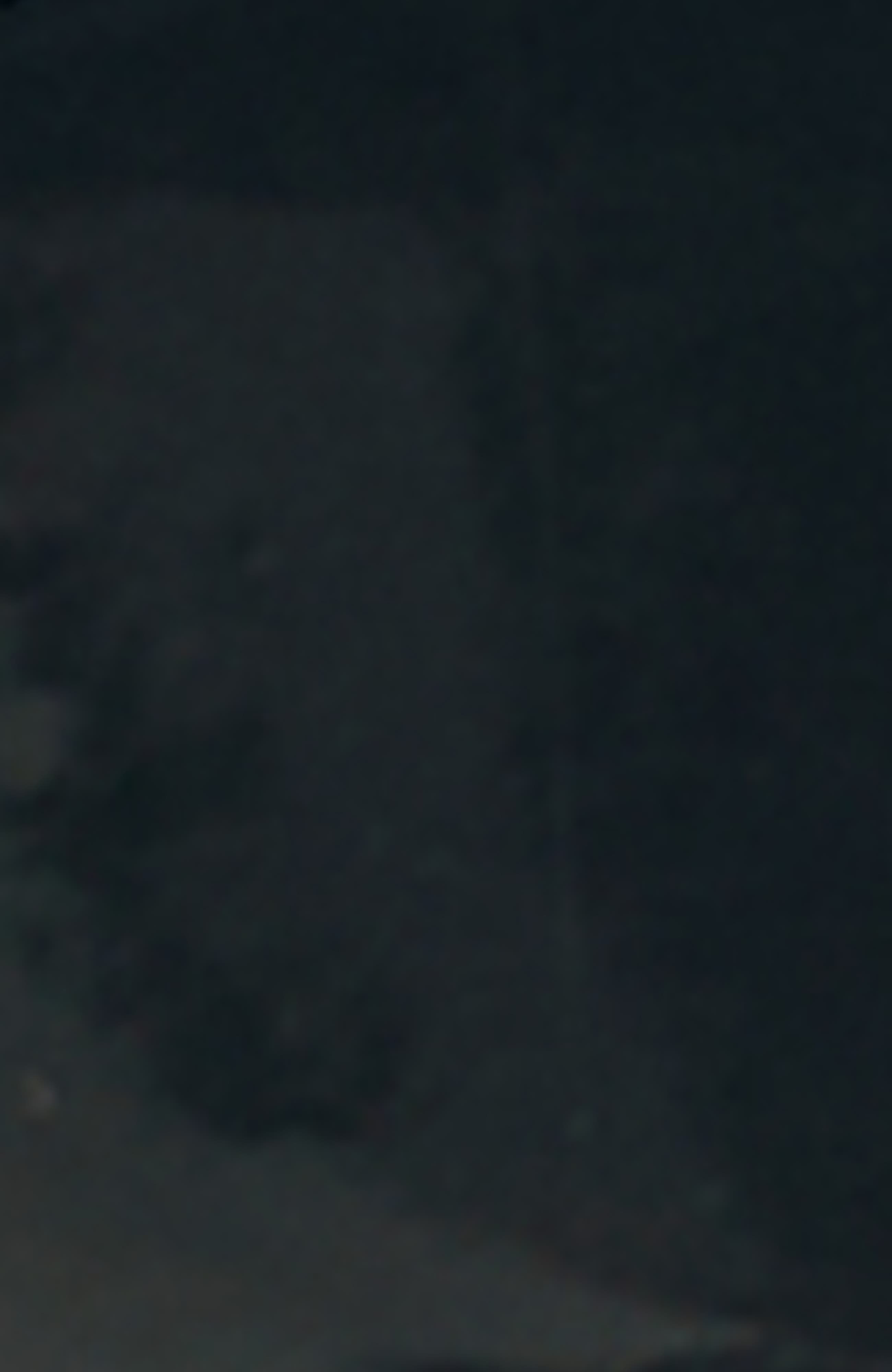 True Religion Jones Court Emboss Sneaker, Alternate, color, 