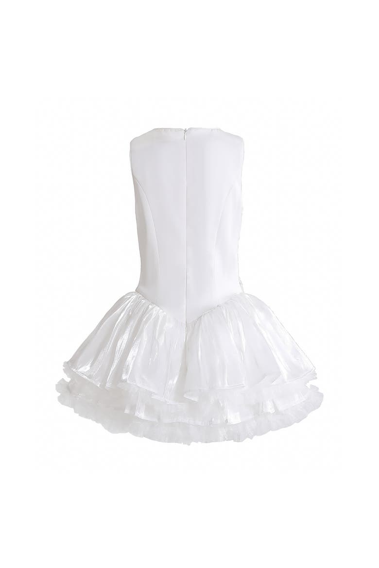 Soraya Floral Tulle Dress, Alternate, color, White
