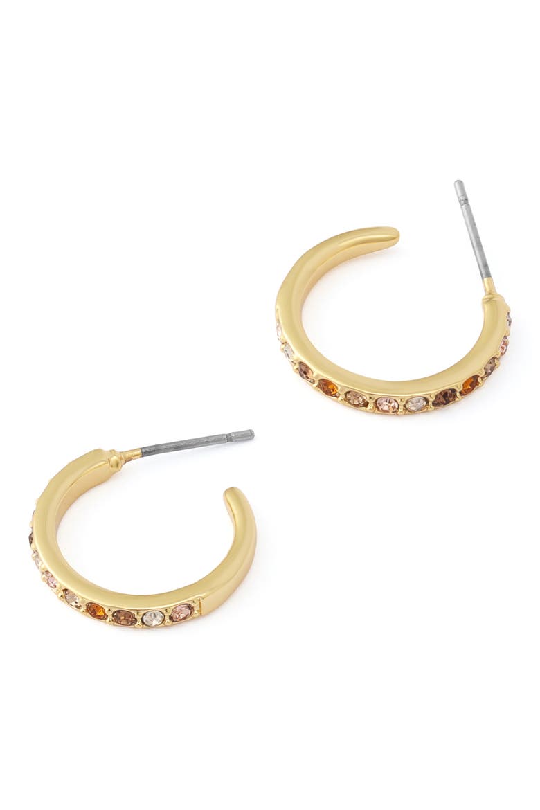 Small Pavé Huggie Hoop Earrings, Alternate, color, GOLD/ NEUTRAL