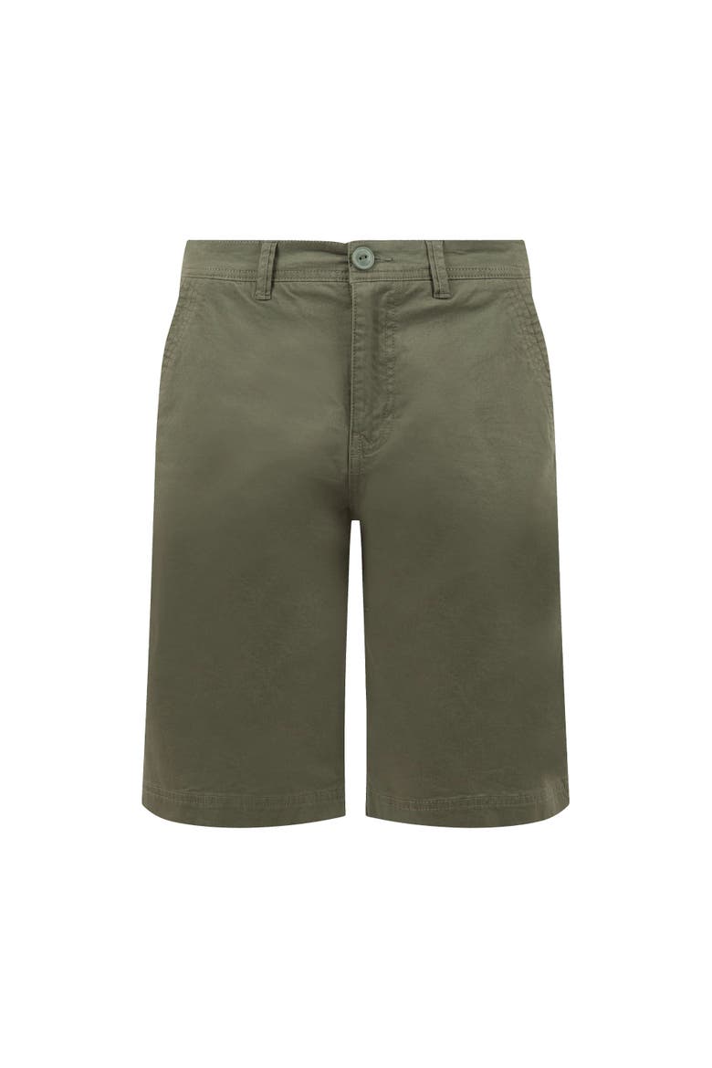Rayburn Flat Front Shorts, Alternate, color, Dark Olive