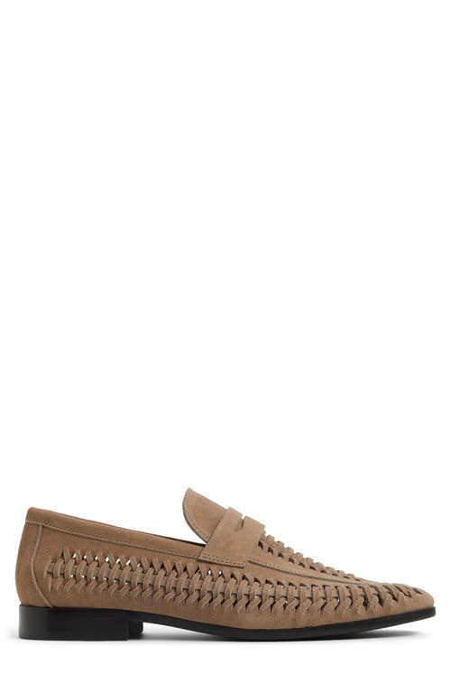ALDO ALDO DANILO WOVEN PENNY LOAFER