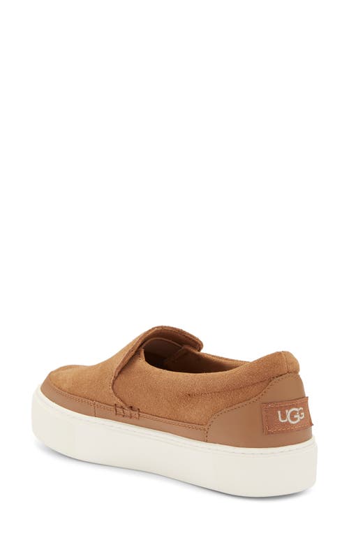 Ugg ® Zilo Slip-on Sneaker In Chestnut