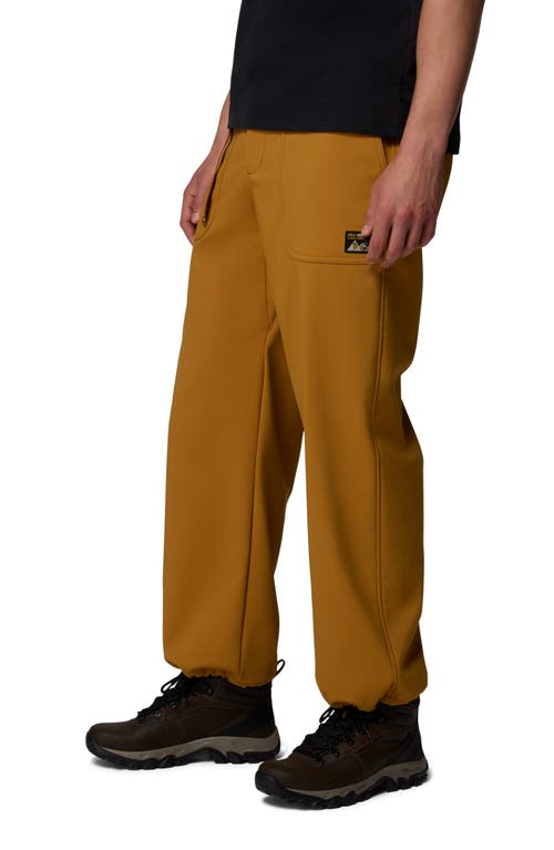Columbia High Cascades Water Repellent Pants In Brown