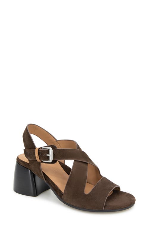 Gentle Souls Mela Crisscross Sandal In Brown