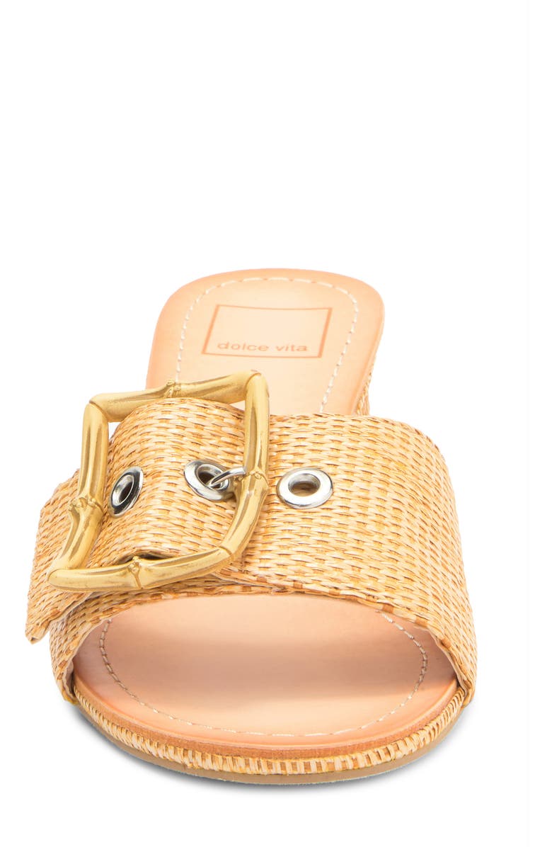 Dolce Vita Lucey Slide Sandal, Alternate, color, Warm Natural Raffia
