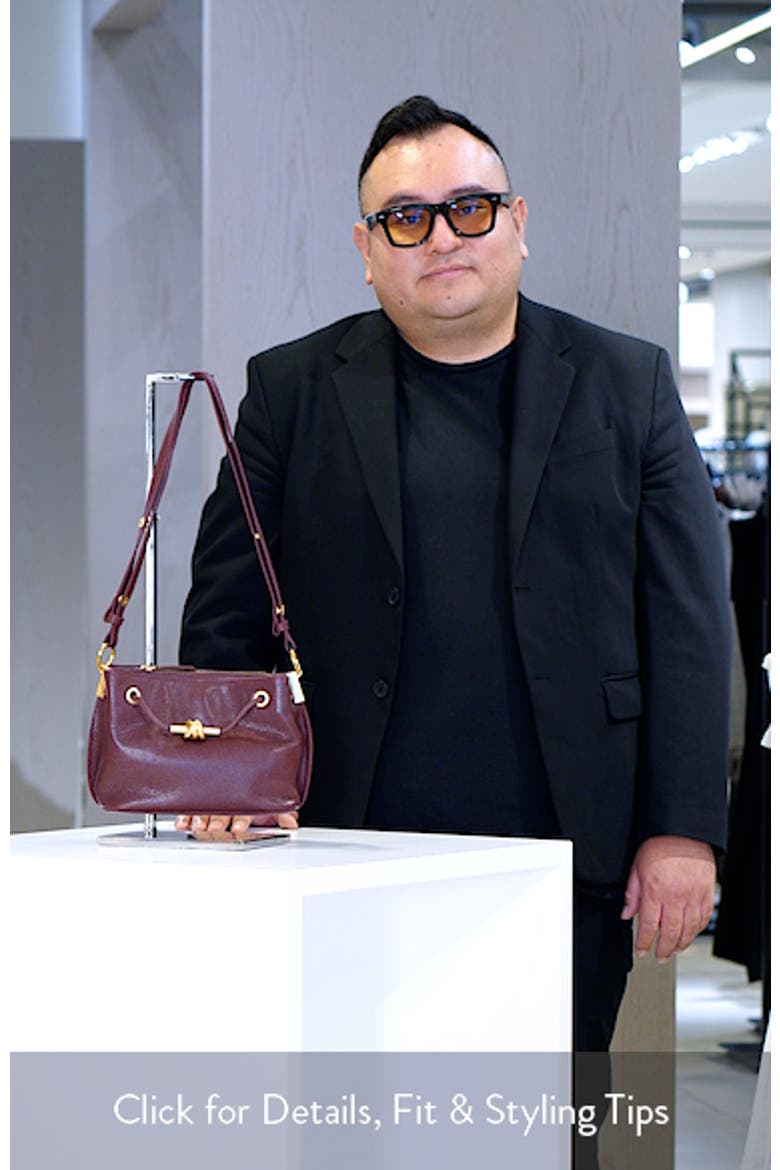 Small Daphne Leather Crossbody Bag video