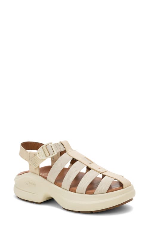 Chaco Cushform Fisherman Sandal in Khaki at Nordstrom, Size 6