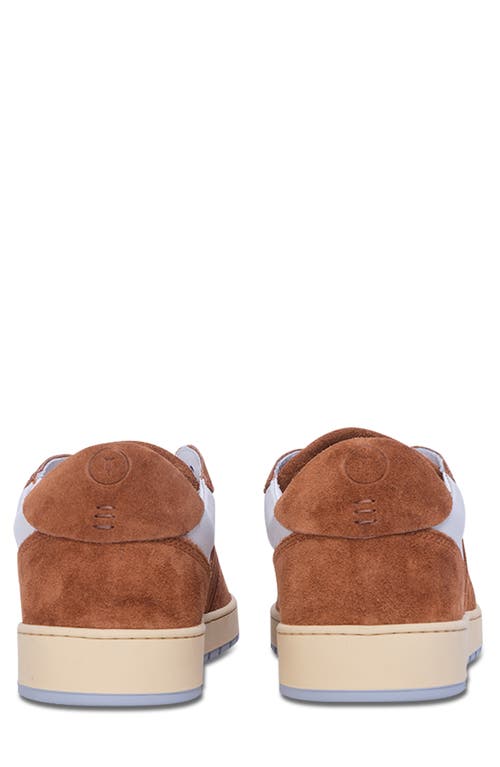 Collegium Pillar Destroyer Low Top Sneaker In Multi