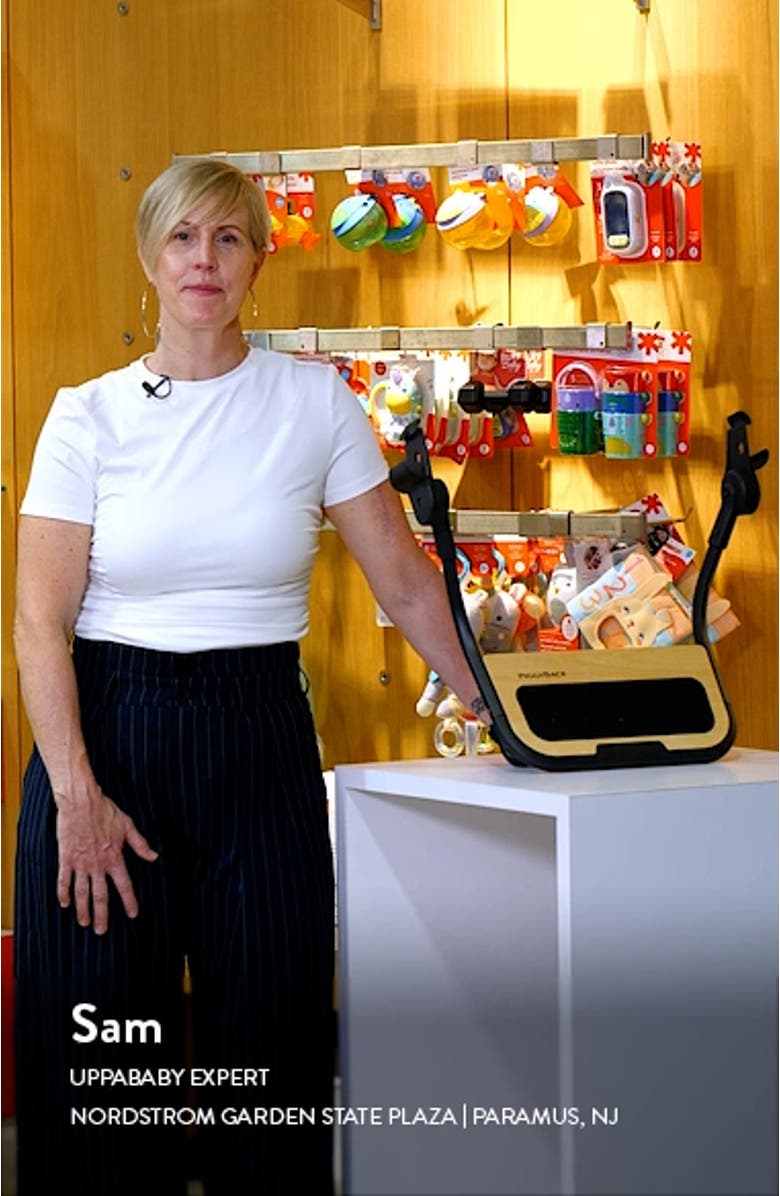 PiggyBack for Vista Strollers, sales video thumbnail