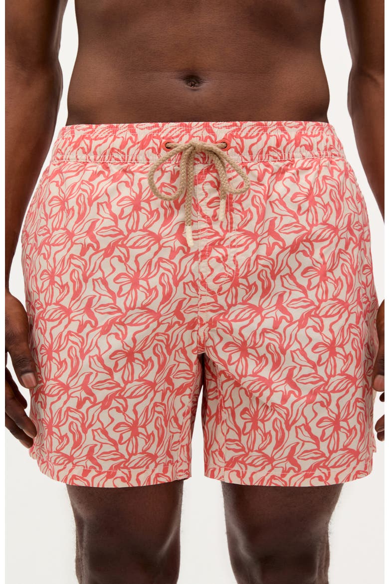 Malibu Swimsuit, Main, color, Terracotta
