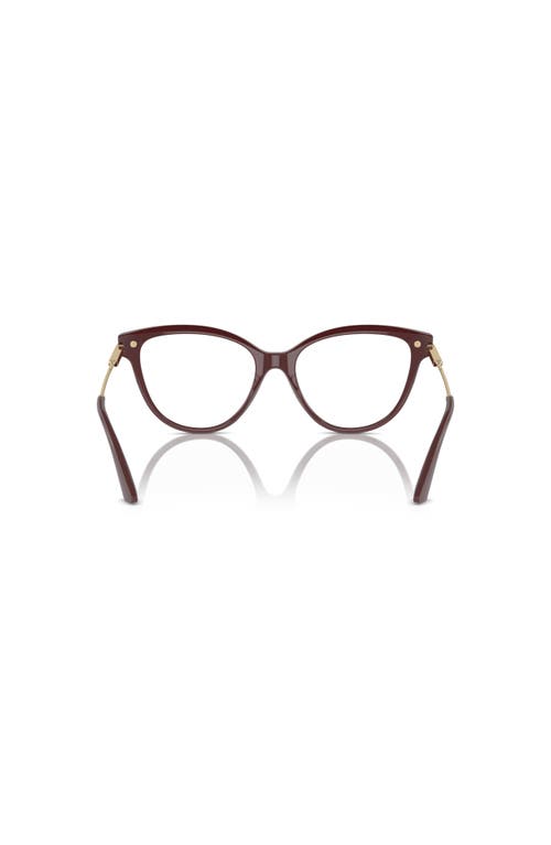 Jimmy Choo 54mm Cat Eye Optical Glasses In Brown