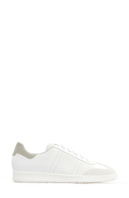 Frankie4 Drew Sneaker