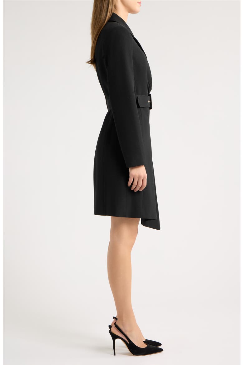 Belted Asymmetric Long Sleeve Dress, Alternate, color, BLACK