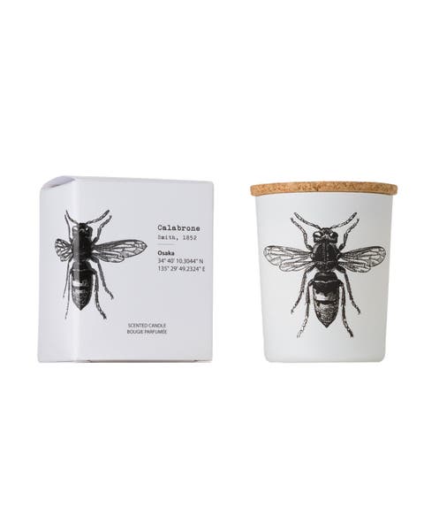 Insect Candle In Jar 2.65 Ounce
