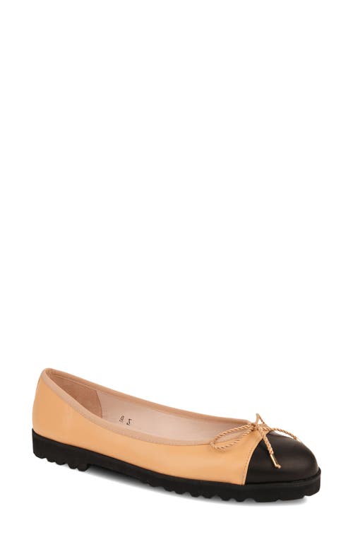 Paul Mayer Bravo Lug Sole Ballet In Multi