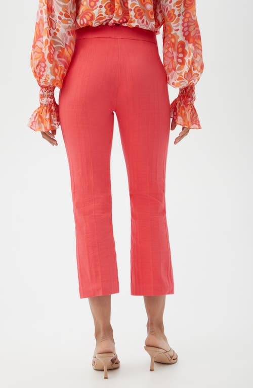 Shop Trina Turk North Beach Ankle Drop Pants In Slushie