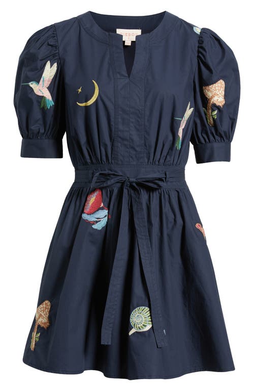 Ciebon Barona Nature Embroidered Fit & Flare Dress In Blue