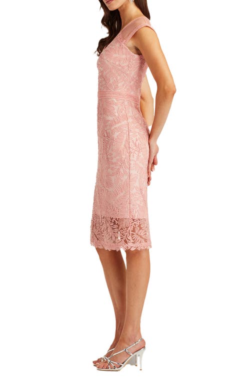 Tadashi Shoji Sleeveless Corded Lace Sheath Cocktail Dress In Pink