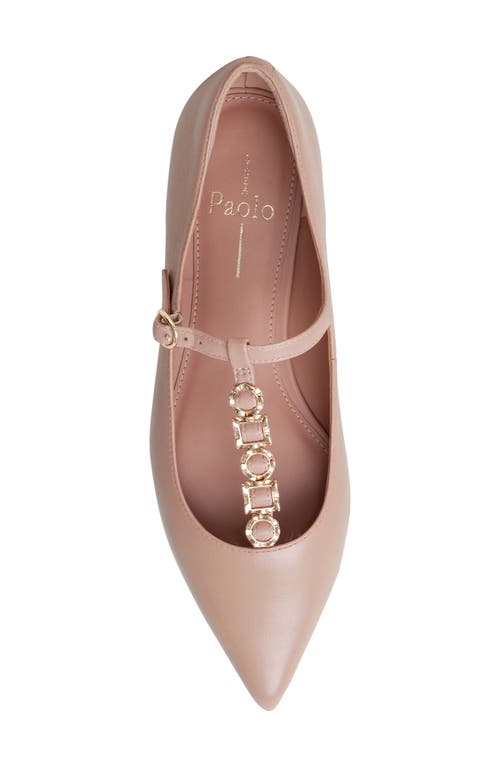 Linea Paolo Corinne Pointed Toe T-strap Flat In Pink