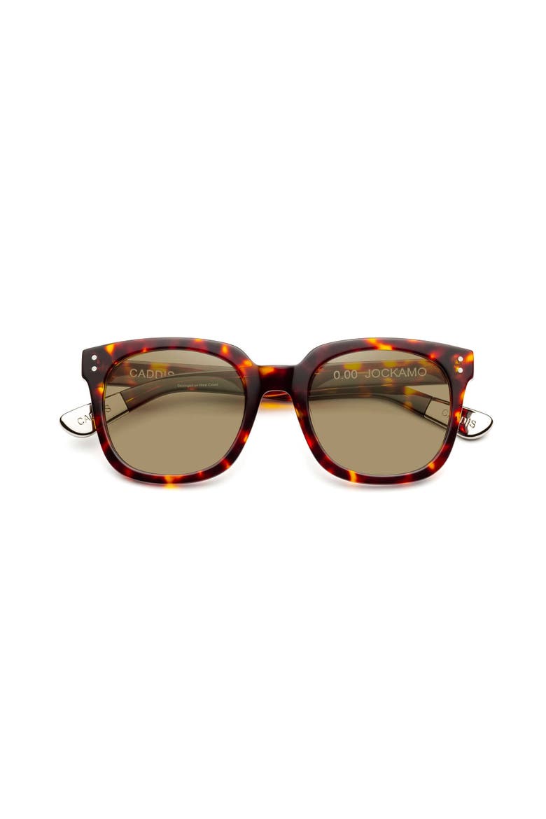 Jockamo | Polarized Sunglasses, Main, color, Turtle - Polarized Bronze