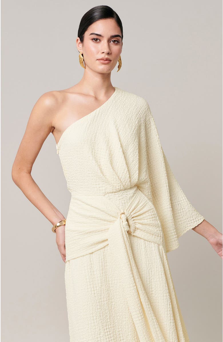 SAVEL Ellie Midi Dress, Alternate, color, Ivory