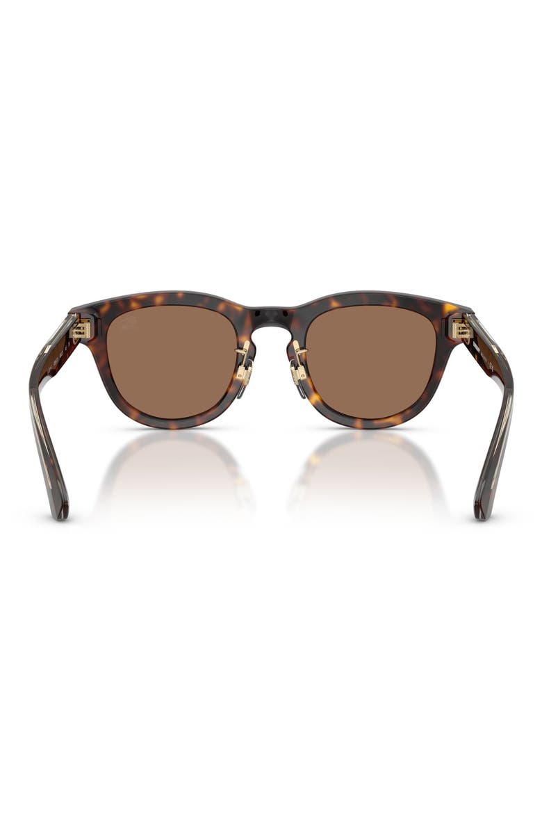 48mm Phantos Sunglasses, Alternate, color, DARK HAVANA / DARK BROWN
