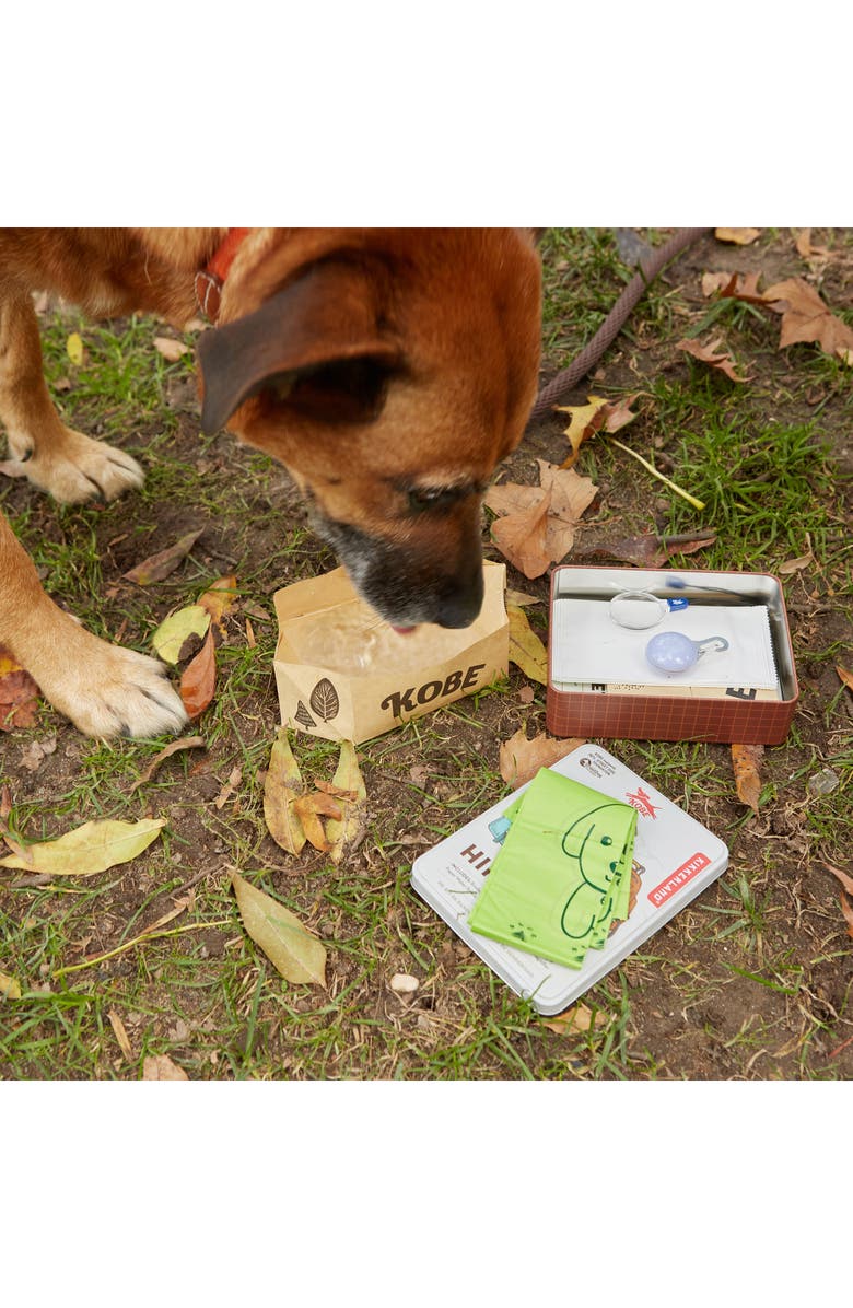 Kikkerland Design Kobe Hiking Dog Kit, Alternate, color, Brown