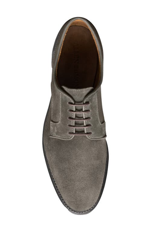 Allen Edmonds Windsor Plain Toe Derby In Grey