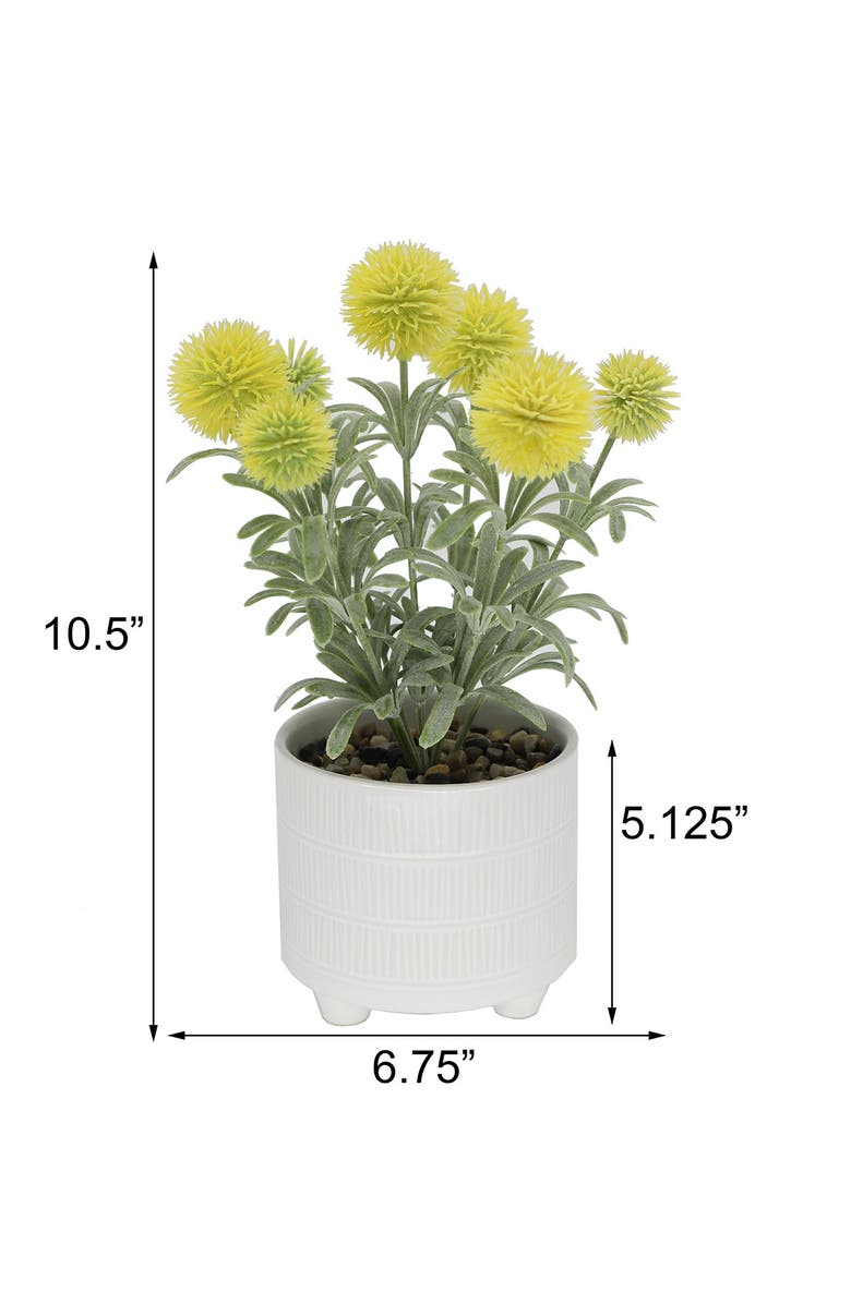 FLORA BUNDA 10" Pompom in 4" Ceramic Footed Ceramic Pot, Alternate, color, 