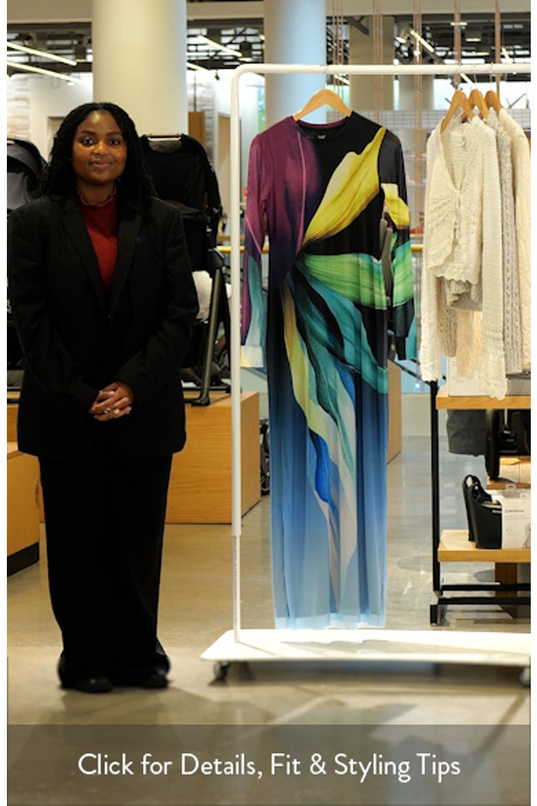 Didi Printed Long Sleeve Mesh Maxi Dress video