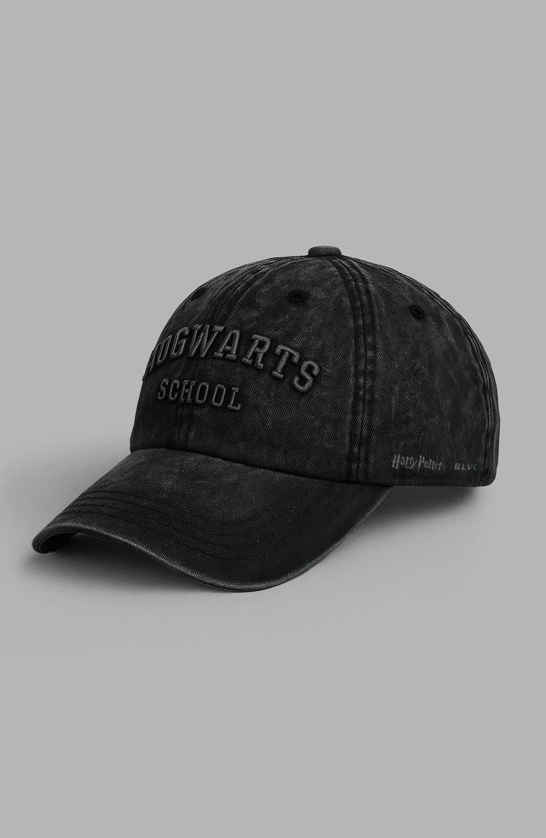 Blvck Harry Potter x Blvck 'Hogwarts' Cap, Alternate, color, 
