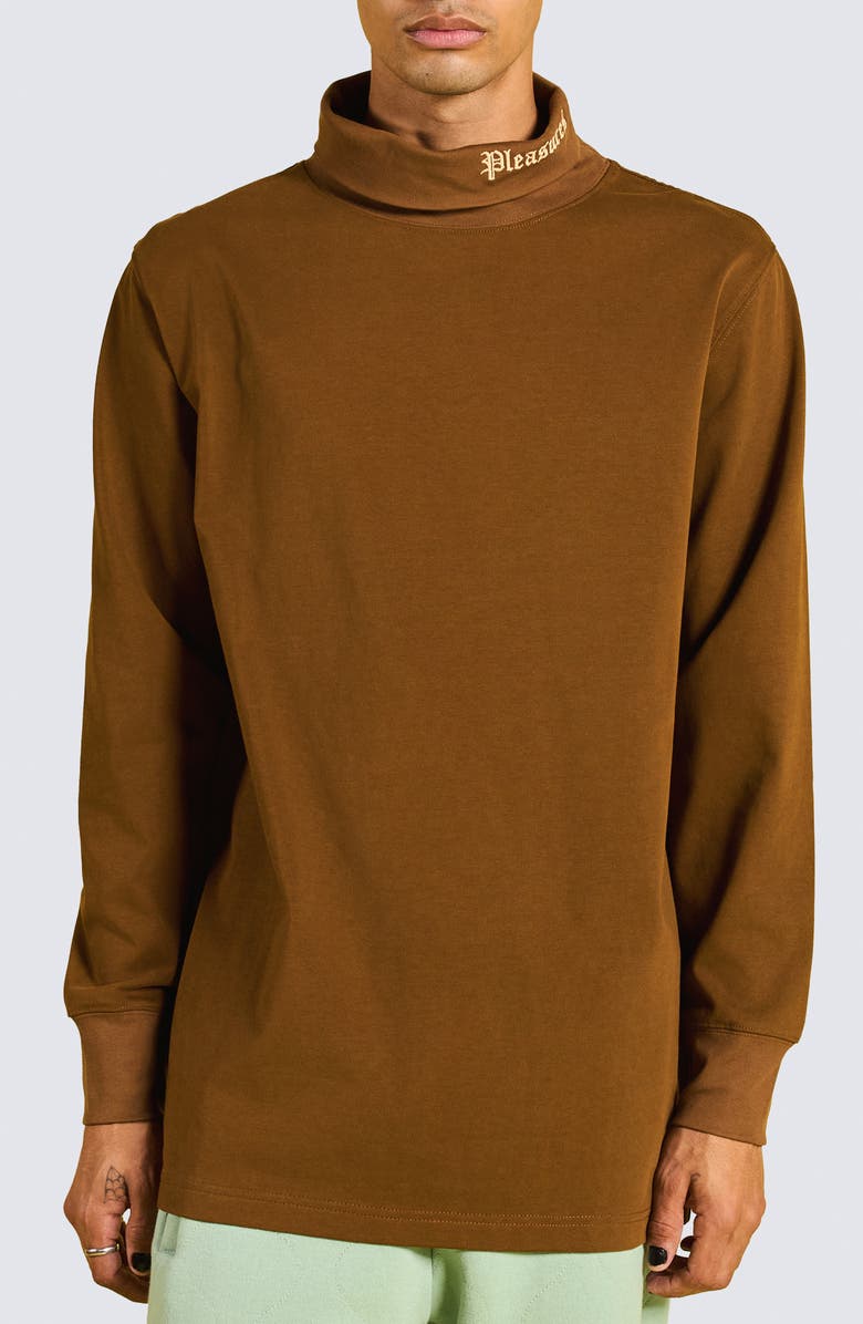 PLEASURES Satisfaction Turtleneck, Main, color, Brown