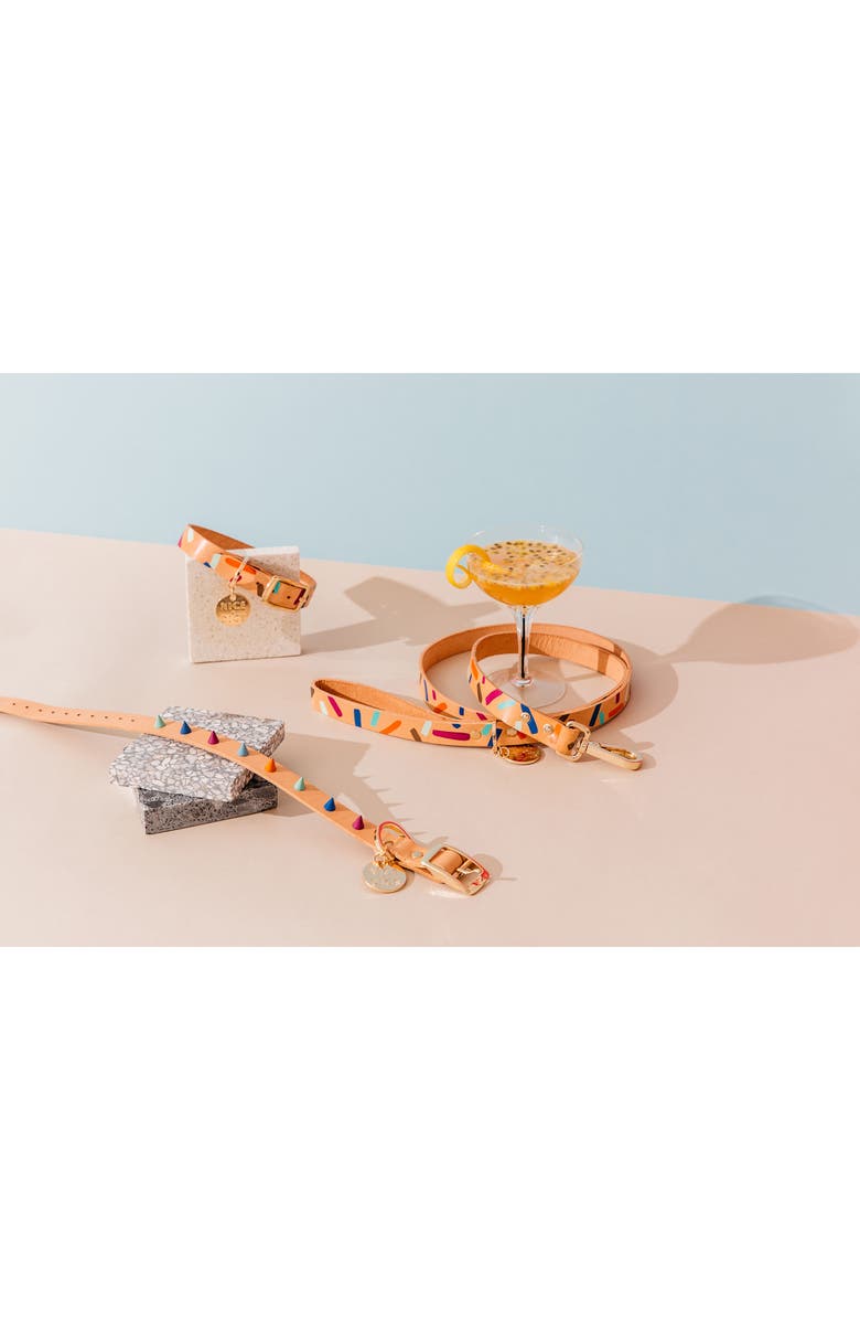 NICE DIGS Confetti Leather Dog Collar, Alternate, color,