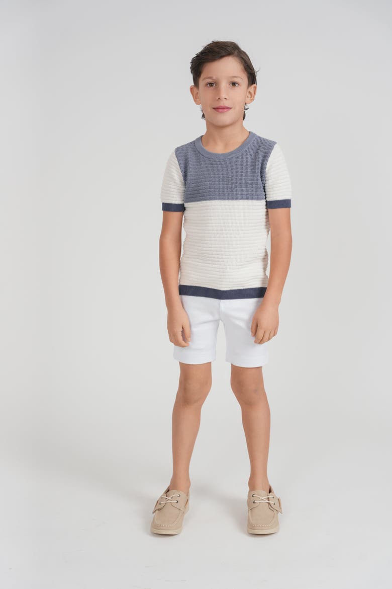 Short Sleeve Multi Textured Colorblock Knit Sweater, Alternate, color, Blue Grey