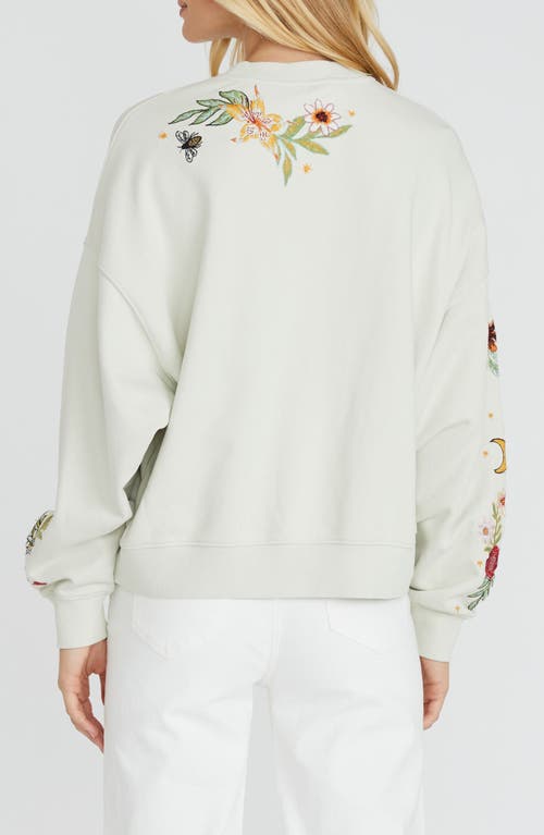 Driftwood Teddy Hawaii Hallucination Cotton Sweatshirt In Neutral