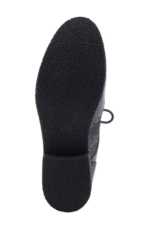 L'artiste By Spring Step Bargiasti Derby In Multi