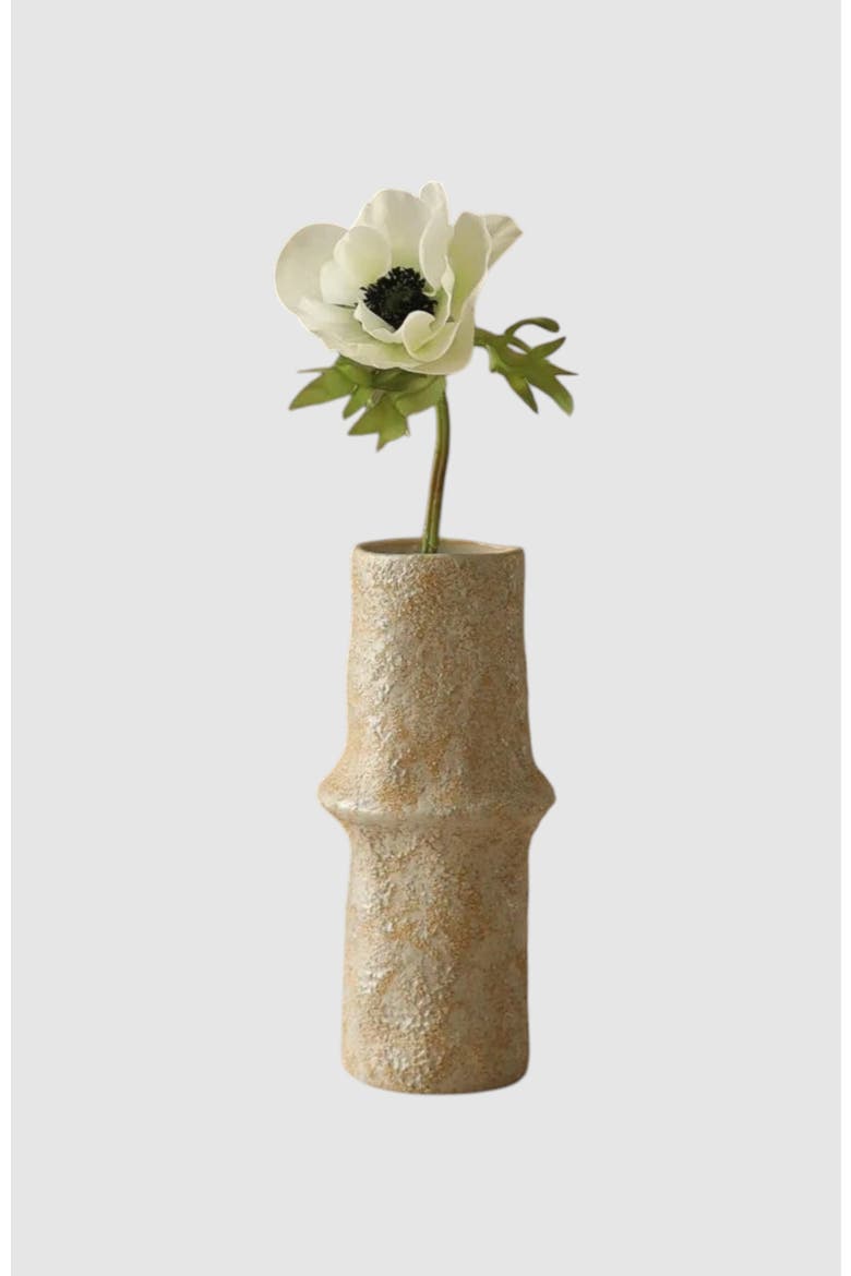 White Anemone Flower, Main, color, White