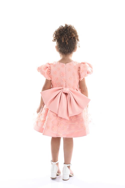 Tulleen Moneta Floral-appliqué Dress In Coral