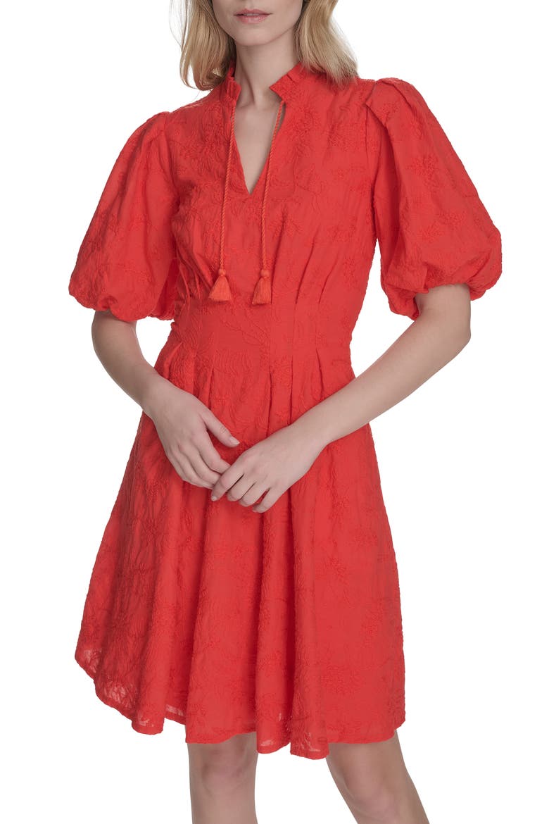 Floral Embroidered Puff Sleeve Cotton Fit & Flare Dress, Alternate, color, RED