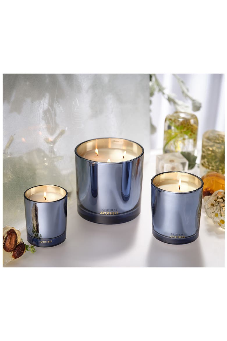 Cardamom Chestnut Classic Scented Candle (Limited Edition), Alternate, color, LIGHT BLUE