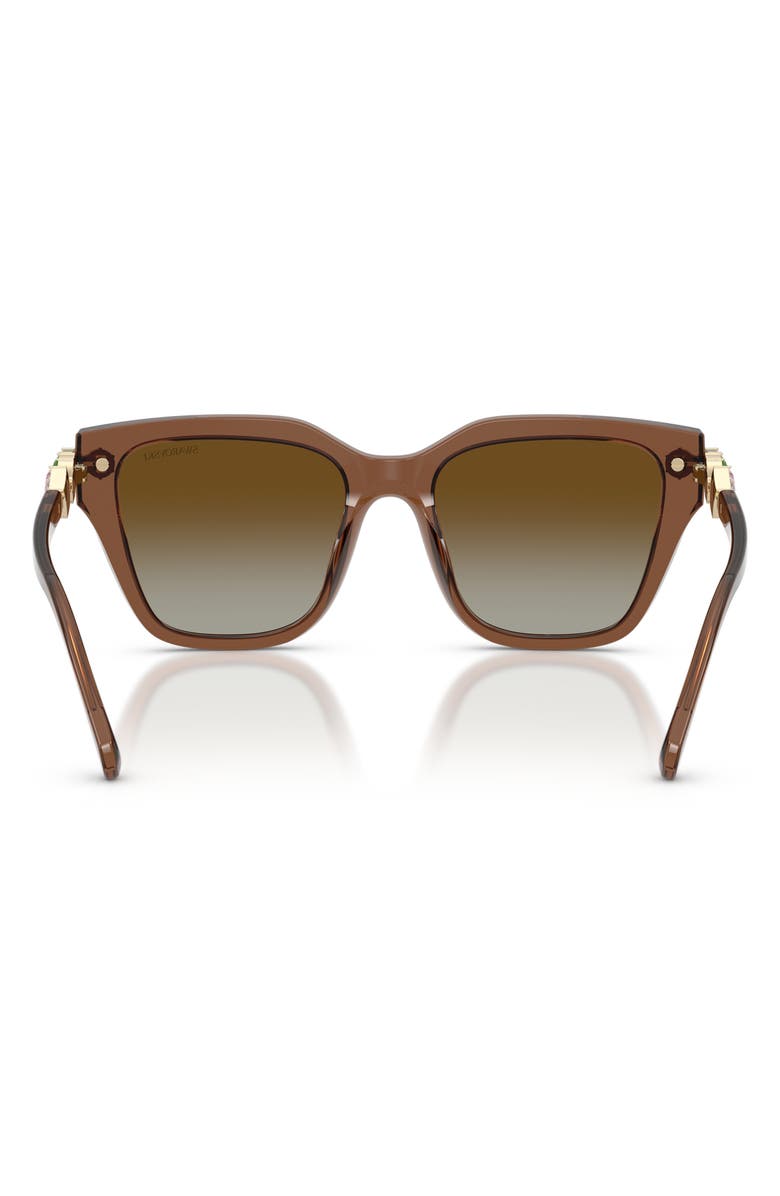 Swarovski 53mm Irregular Sunglasses, Alternate, color, Brown / Brown Polar