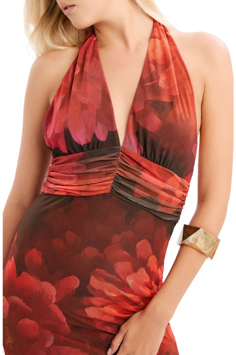 Elera Print Halter Mesh Maxi Dress, Alternate, color, RED FLORAL