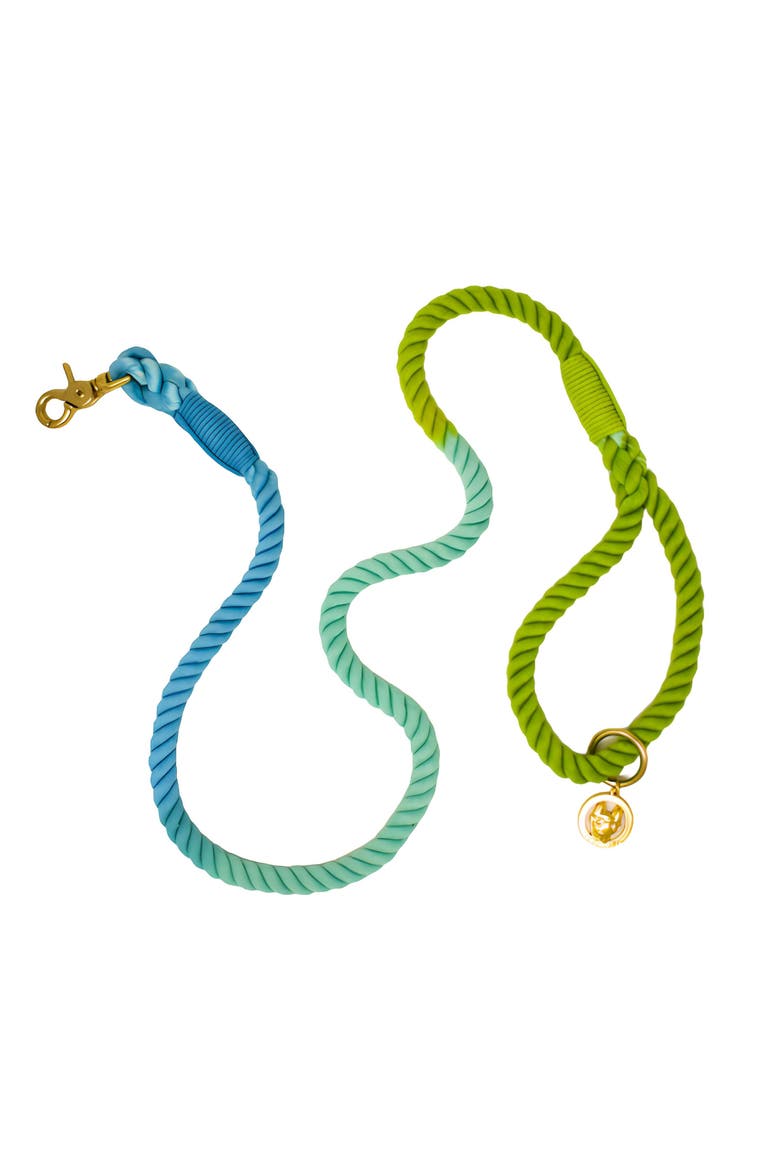 Alexandria Rope Dog Leash, Main, color, Alexandria 4ft