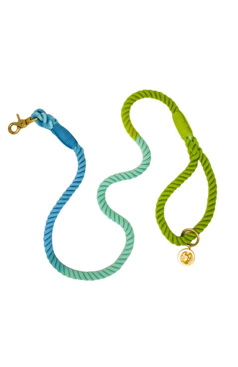 Alexandria Rope Dog Leash