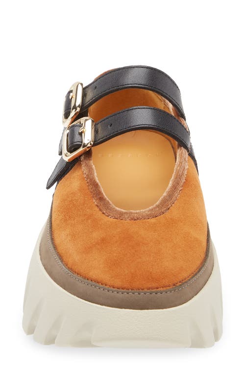 4ccccees Tura Ballet Platform Loafer In Orange