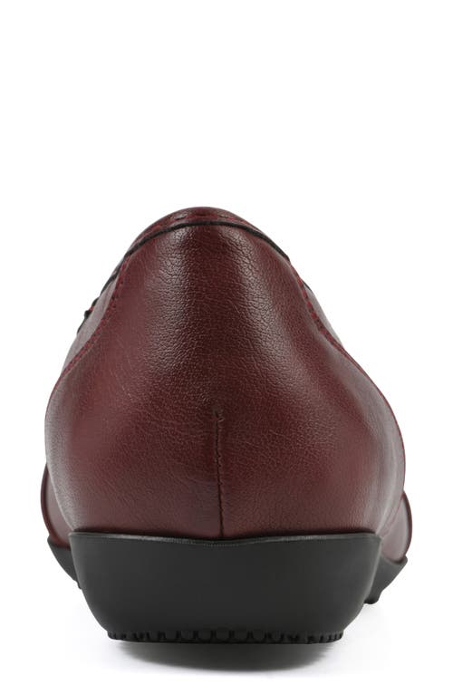 Cliffs By White Mountain Calming Buckle Strap Flat In Burgundy Burnished Smooth