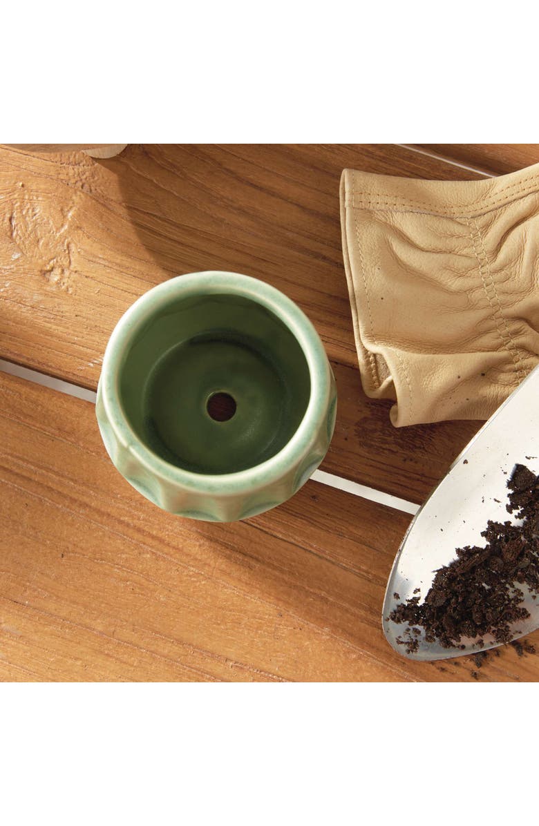 Napa Home & Garden DEZIE MINI POTS Set of 6, Alternate, color, Green